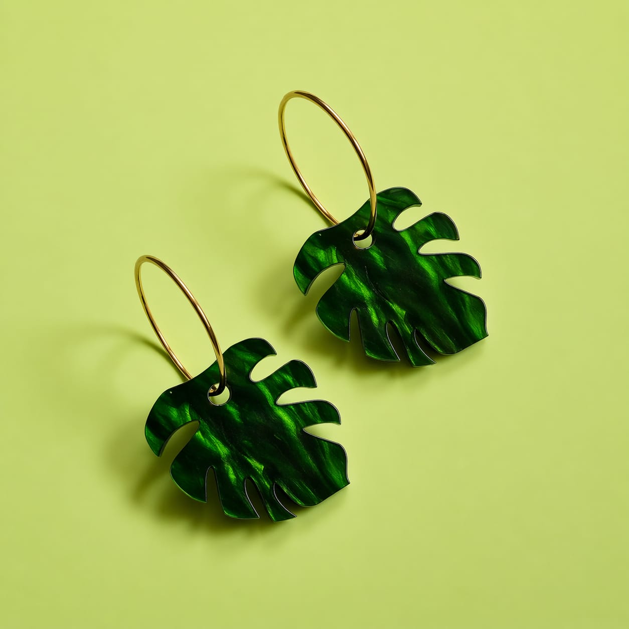 Monstera